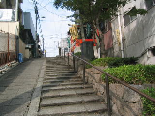 164_6444111.jpg