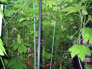 185_859611.jpg