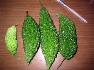 190_908511.jpg