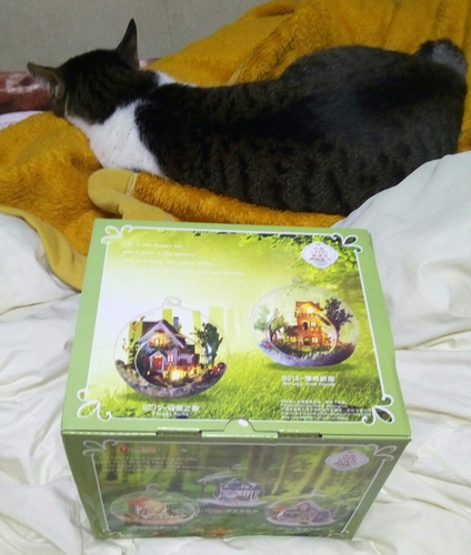20171114095248387.jpg