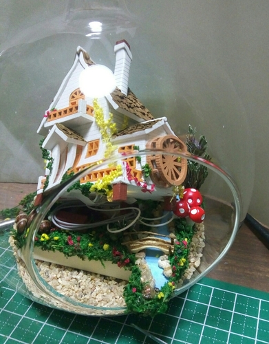 20171114102413229.jpg