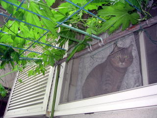 235_3541111.jpg