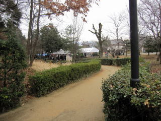 IMG_170511.jpg
