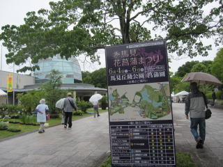 IMG_366111.jpg