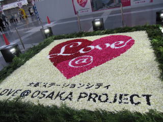 IMG_423011.jpg