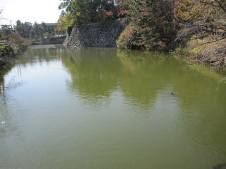 IMG_5699111.jpg