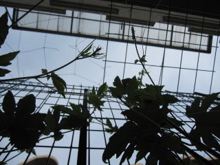 IMG_886611.jpg